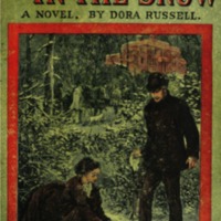 Book cover of Footprints in the Snow, a Novel